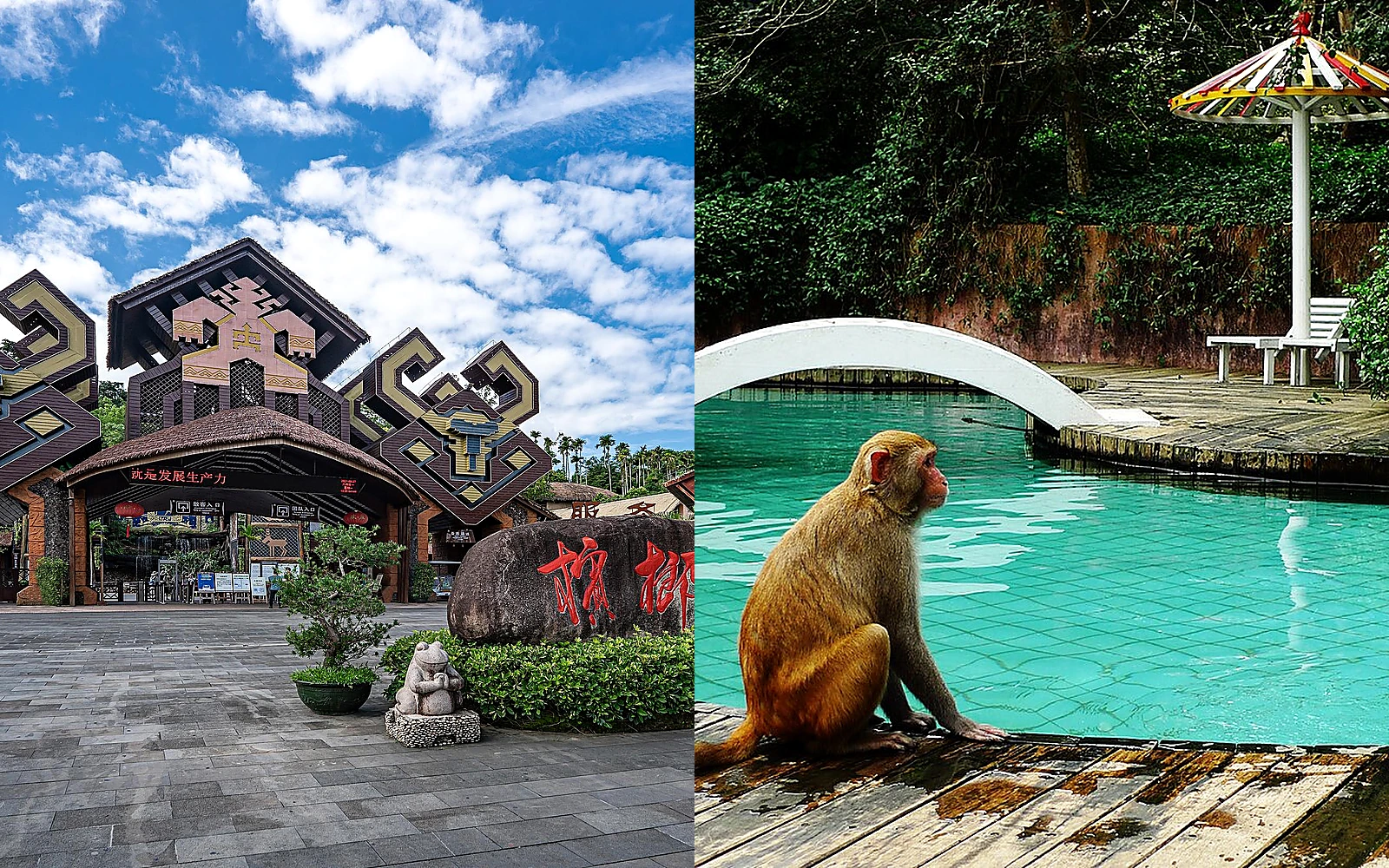 Hainan's Betel Nut Valley and Nanwan Monkey Island
